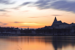 Traitement punaises de lit Blois